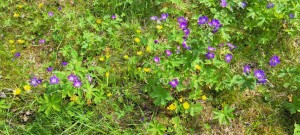 Glad midsommar Ulf Lundberg-Företagen AB